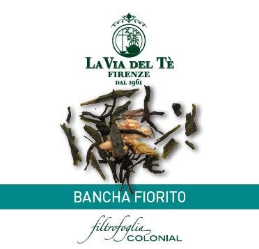 Bloomy Bancha Fiorito 100 Stück