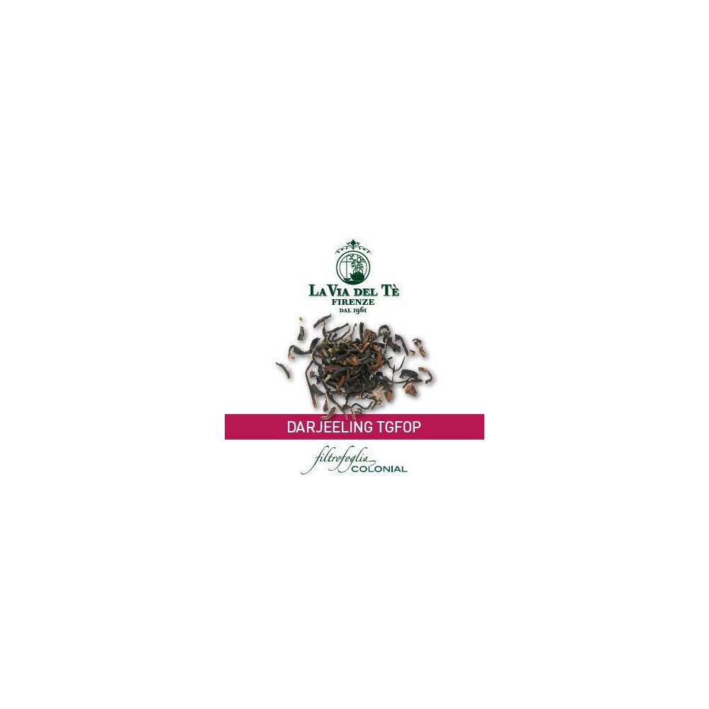 Darjeeling TGFOP 100 stuks