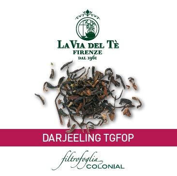 Darjeeling TGFOP 100 Stück