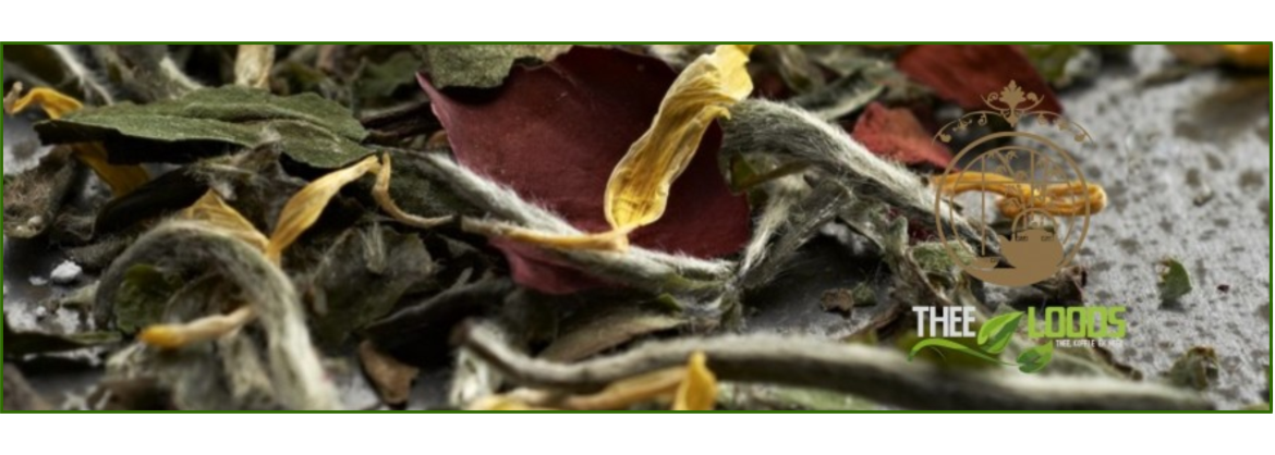 Tisane Tee kaufen? | Köstlicher losischer Tee!